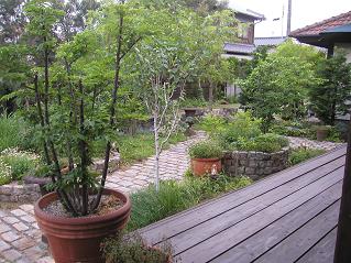 b0109220_195109.jpg