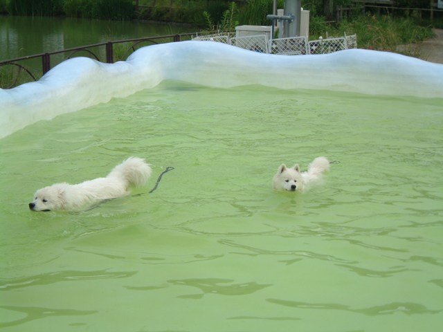 e0024126_7255172.jpg