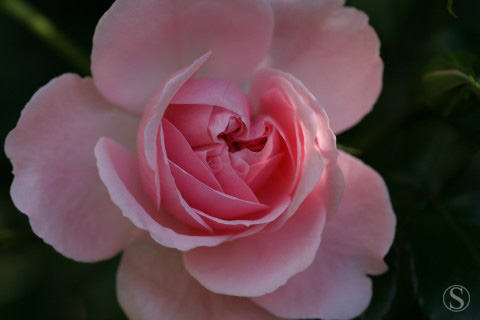 e0021328_1674870.jpg