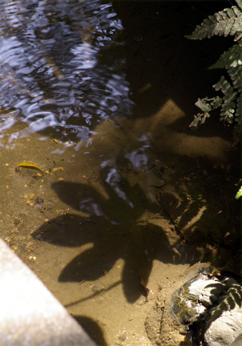 c0077129_1722846.jpg