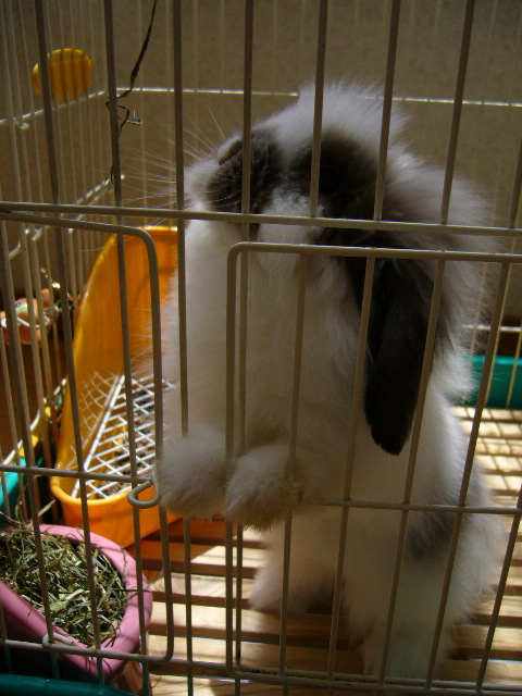 d0089329_1262364.jpg