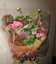 b0005238_22311629.jpg