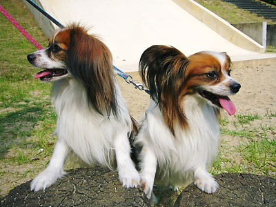 e0100046_2151867.jpg
