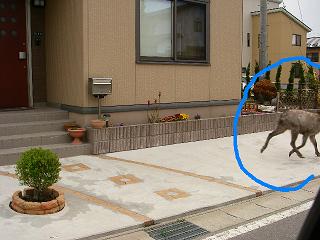 a0050048_22502460.jpg