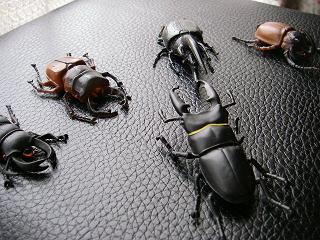a0050048_225937100.jpg