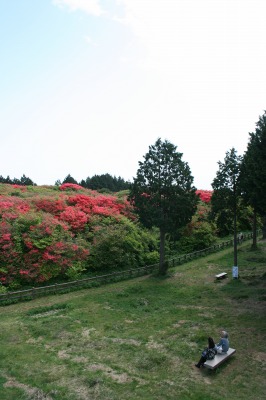 f0042548_2244456.jpg