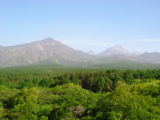 a0094449_6593432.jpg