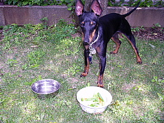 c0123149_22374020.jpg