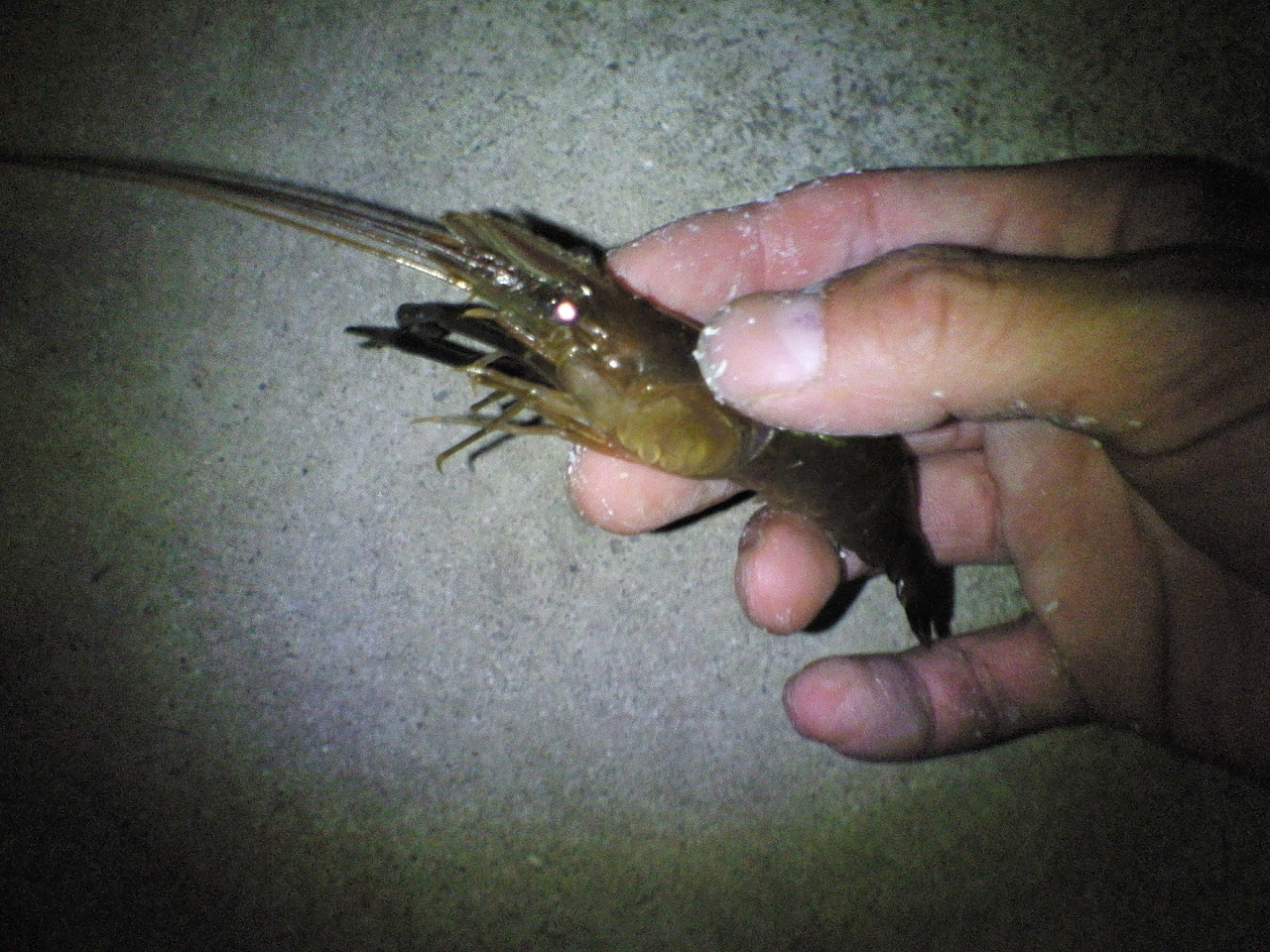 c0019951_22232670.jpg