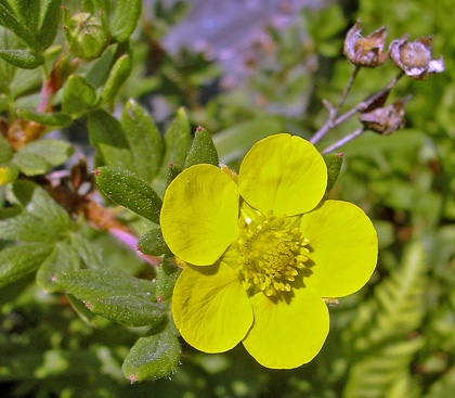 a0001354_22251697.jpg