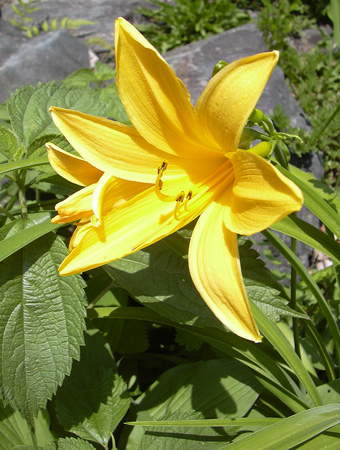 a0001354_23173635.jpg