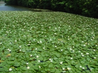c0108460_15301883.jpg