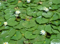 c0108460_15304470.jpg