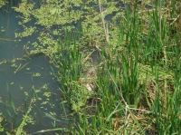 c0108460_15314597.jpg