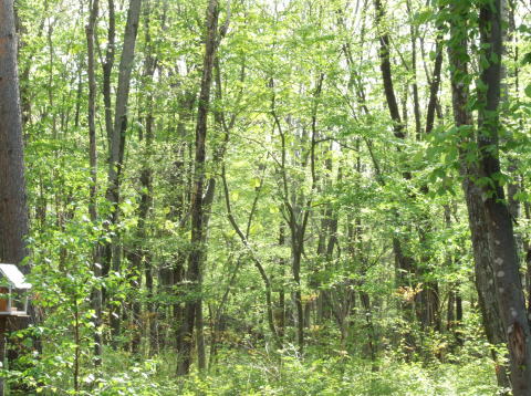 e0088260_21402339.jpg