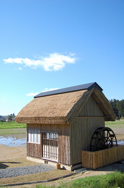 c0048667_2353069.jpg