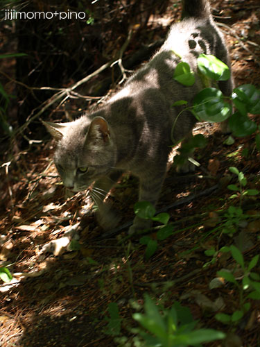 d0002472_034448.jpg