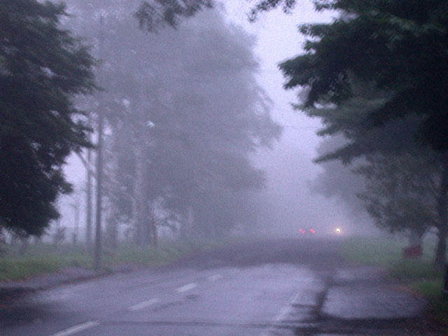 e0100772_085384.jpg