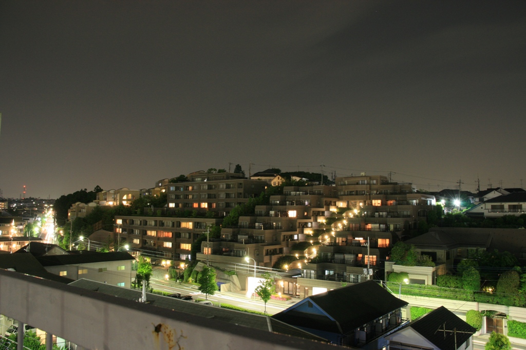 f0101578_1194298.jpg