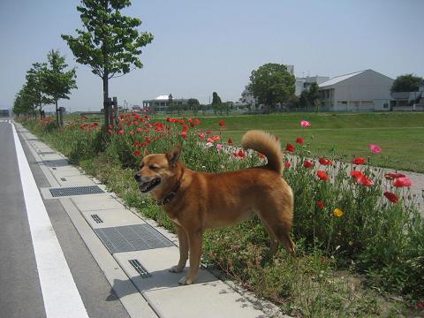 b0032079_23424516.jpg