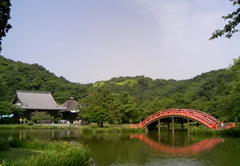 c0029281_19384618.jpg