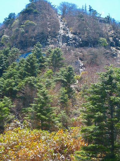 d0070183_2243278.jpg