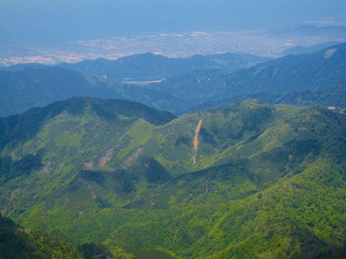 d0070183_232213.jpg