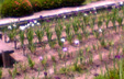 e0060483_18253160.jpg