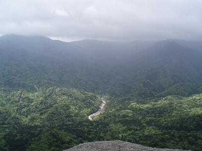 e0106098_20384965.jpg