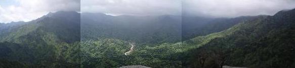 e0106098_22142916.jpg