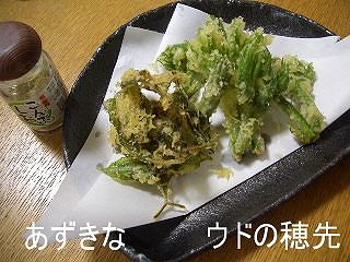 d0050007_2240299.jpg