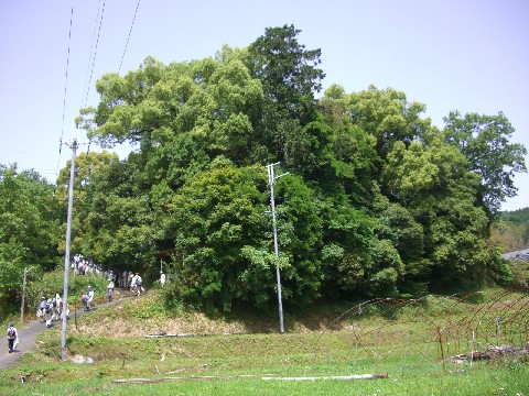 d0007913_0535779.jpg