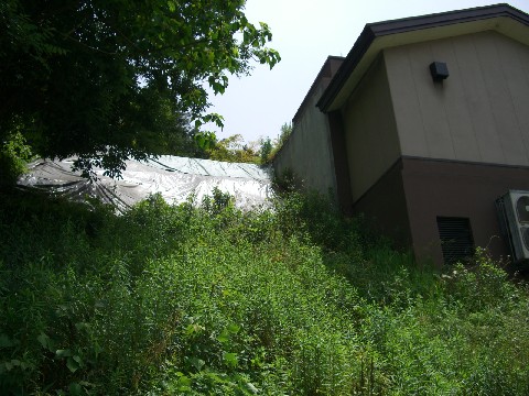 d0007913_1142847.jpg