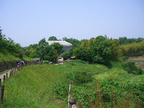 d0007913_1273571.jpg