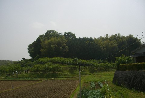 d0007913_22233321.jpg