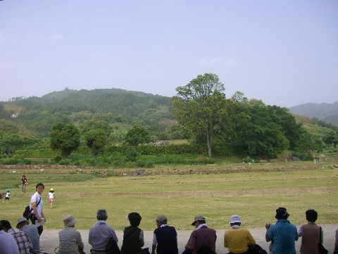 d0007913_22495515.jpg