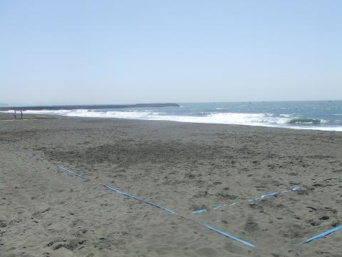 e0067218_893652.jpg