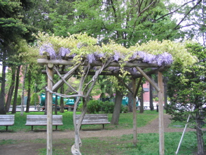 e0111220_18334152.jpg