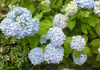 a0036626_22561813.jpg