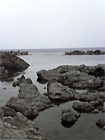 b0044726_7402812.jpg