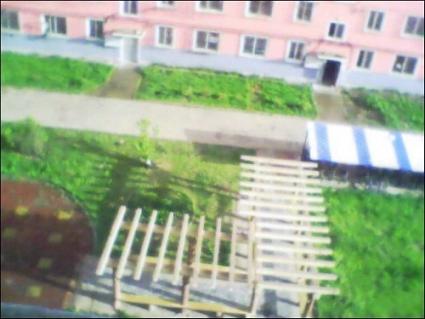 d0023728_20534221.jpg