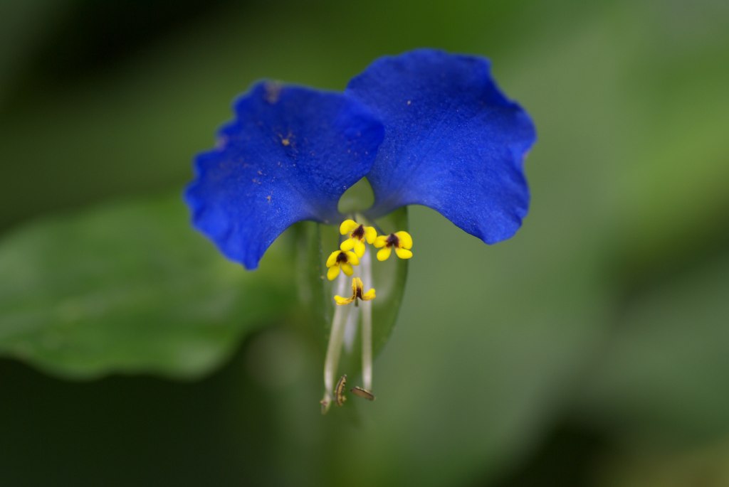 d0053930_61546.jpg