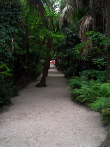 d0008832_10312443.jpg