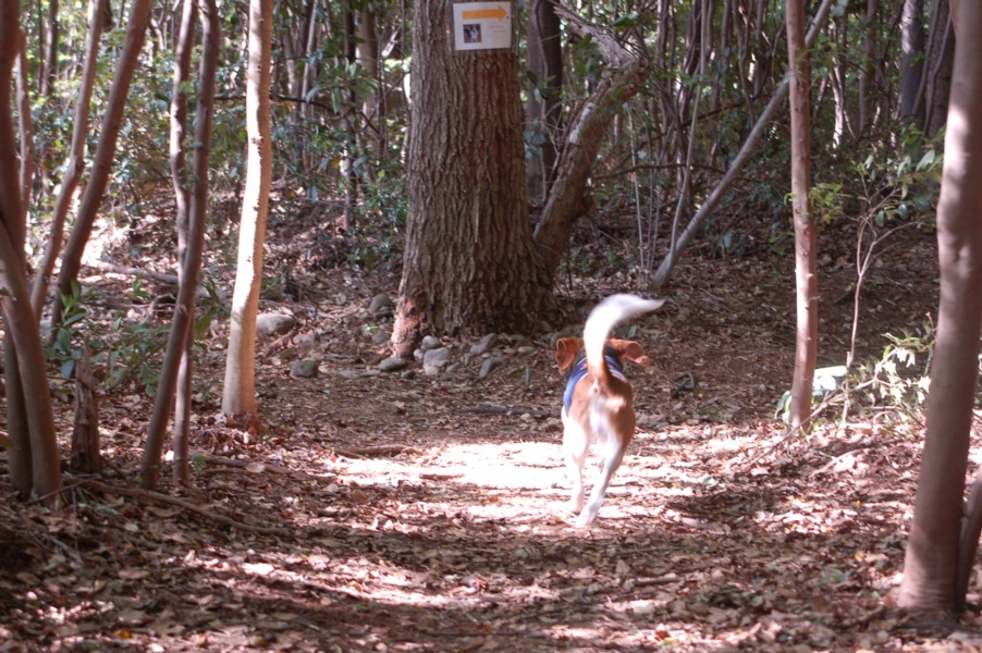 c0119142_1574399.jpg