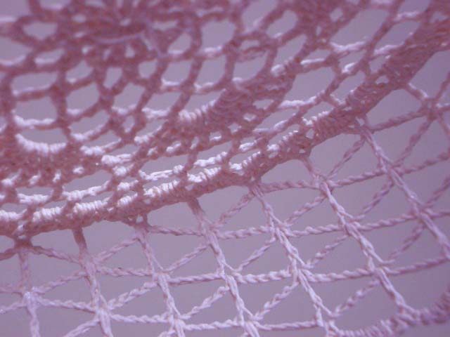 e0002850_2323312.jpg