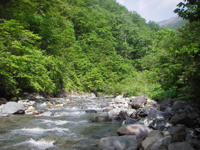 a0079652_22404875.jpg