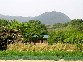 f0062055_6111222.jpg