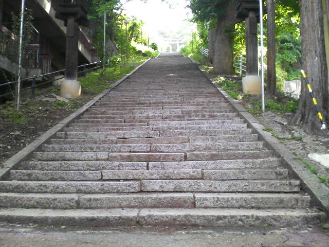 f0051256_7524088.jpg