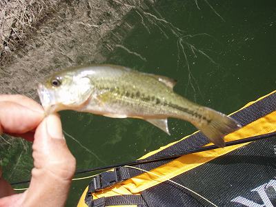 f0073059_5142895.jpg