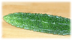d0054461_20275446.jpg